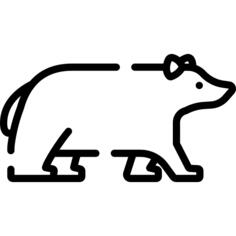 Badger