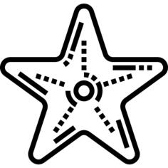 海星