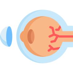 Eye