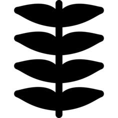 Herb