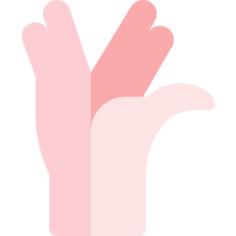 手