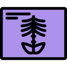 X射线
