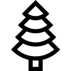 Spruce