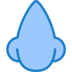 Nose