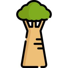 Baobab