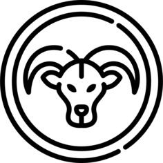 白羊座