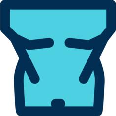 Torso