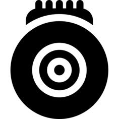 Bionic eye