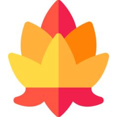 Lotus flower