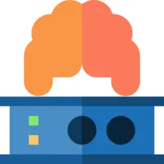 Brain
