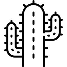 仙人掌