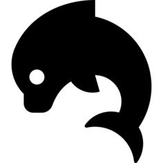 Dolphin