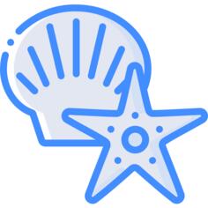 海星