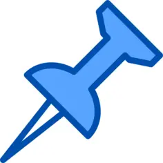 Pin