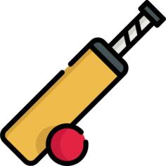 Cricket