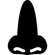 Nose