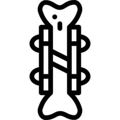 Bone