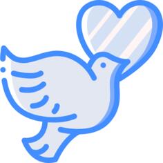 鸽子