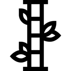 Bamboo
