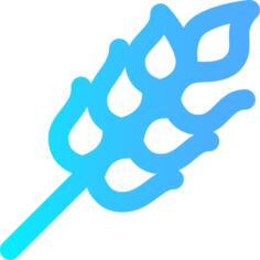 小麦