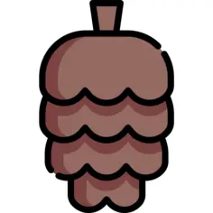 Pine cone