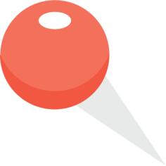 Pin