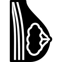 Breast