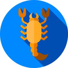 Scorpion
