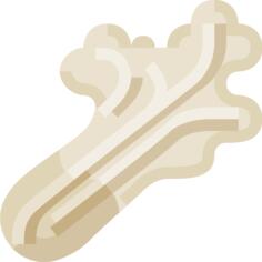 Lettuce