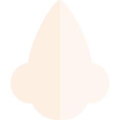Nose