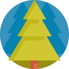 Spruce