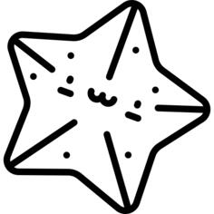 海星