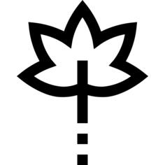 Leaf