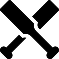 Cricket
