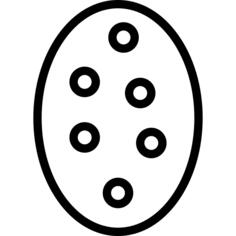 仙人掌