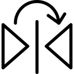 Mirror horizontally