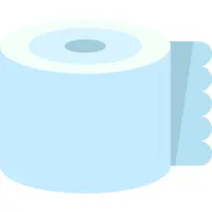 Toilet paper