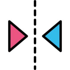 Mirror horizontally