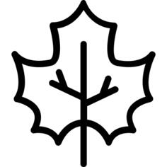 Leaf