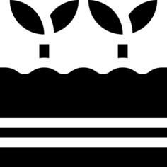 豆芽