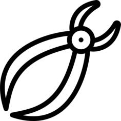 钳