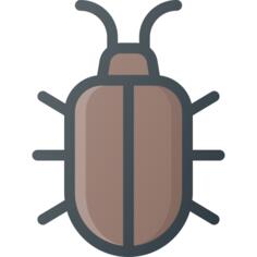 Bug