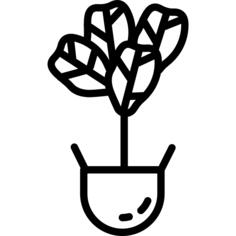 植物