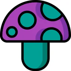 蘑菇