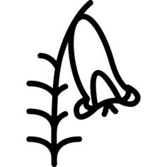 希思