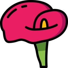 阿鲁姆