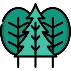 Trees