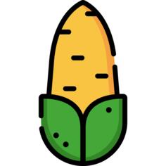 Corn