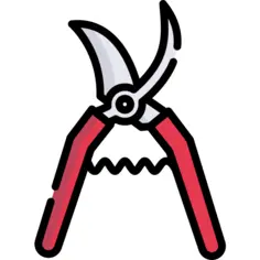 Scissors