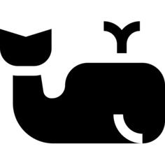 Whale